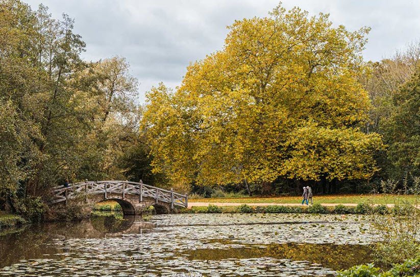 Staunton Country Park, Petersfield Rd, United Kingdom